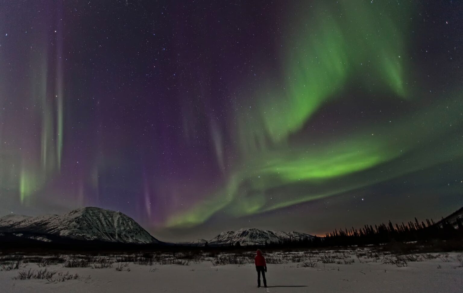 A person gazing at the vibrant Northern Lights in the Yukon, with snow-covered mountains in the background.